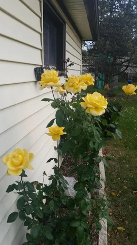 $259,900 | 10525 West Rae Avenue, Milwaukee, WI 53225