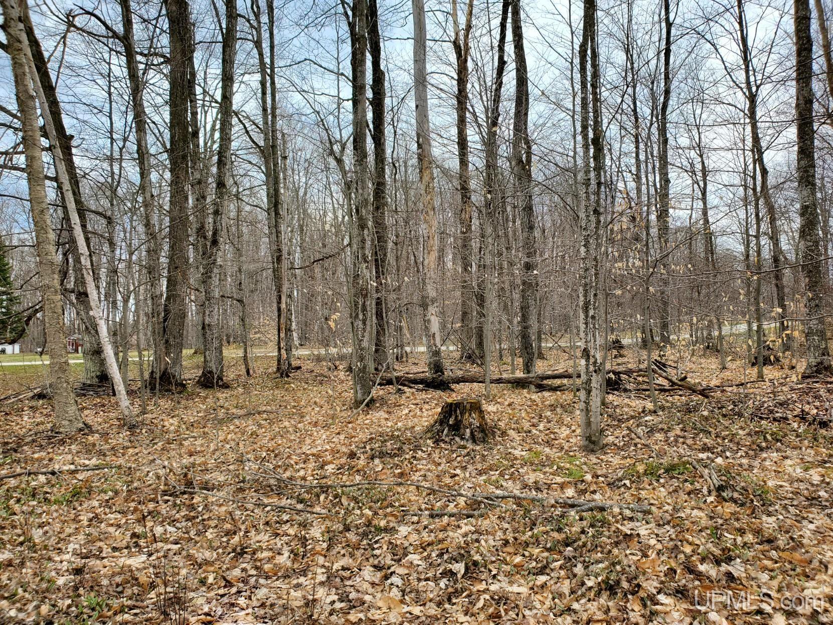 Tbd North Ash Road Manistique, MI 49854 - Photo 2 of 7 Gallery Image 2