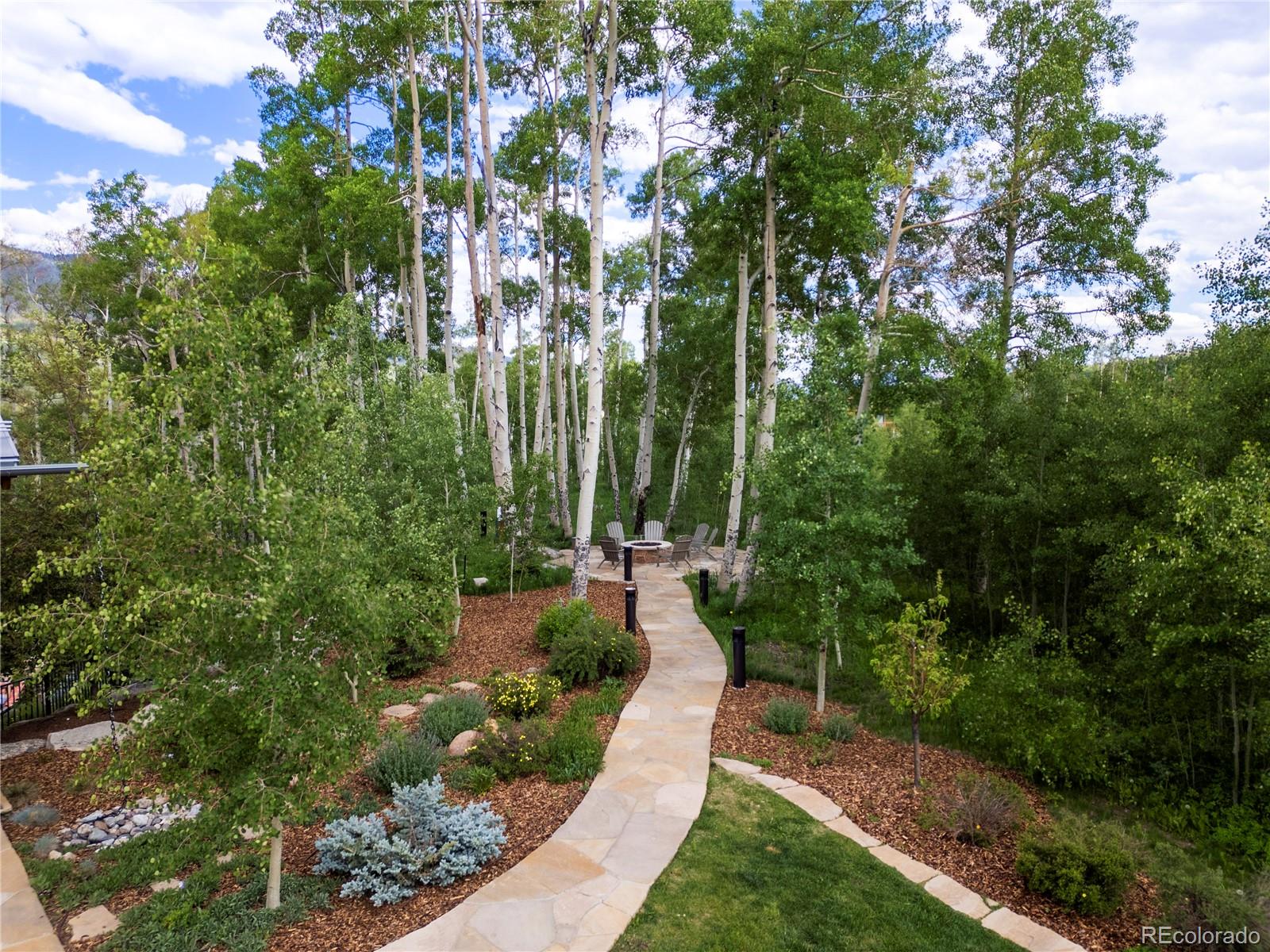 143 Beasley Road Silverthorne, CO 80498 - Photo 39 of 40 a view of a garden with plants