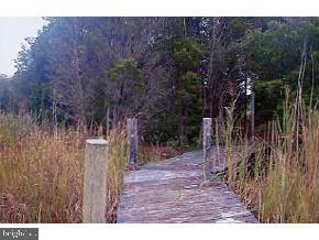41 West Greenbush Road Tuckerton, NJ 08087 - Photo 3 of 8 Gallery Image 3