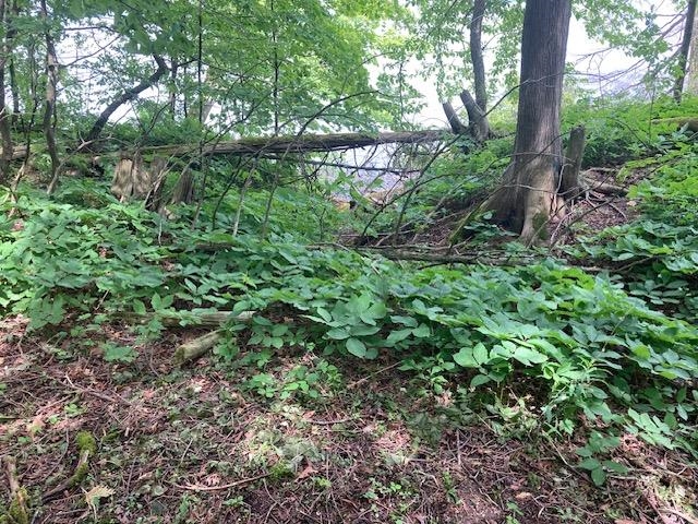 3125 Butler Island North Hero, VT 05474 - Photo 2 of 5