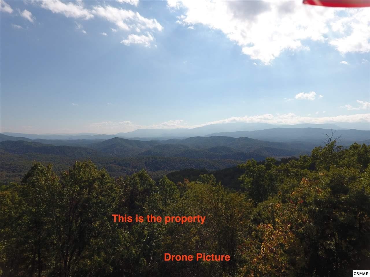 0 Shell Mountain Road Sevierville, TN 37876 - Photo 2 of 26 Gallery Image 2