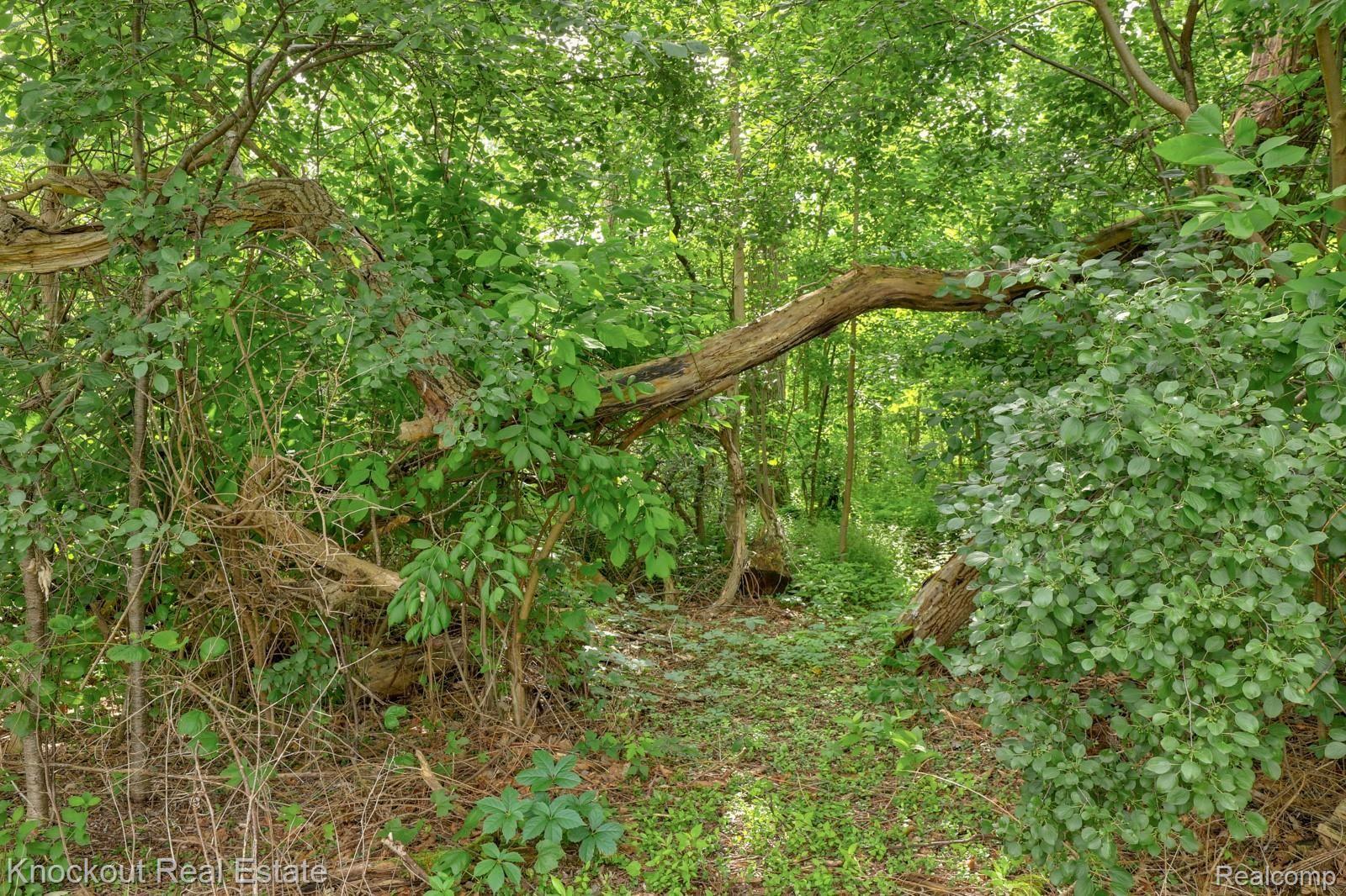 10061 Maple Road Birch Run, MI 48415 - Photo 32 of 32 10061 Maple Rd Birch Run-32.jpg
