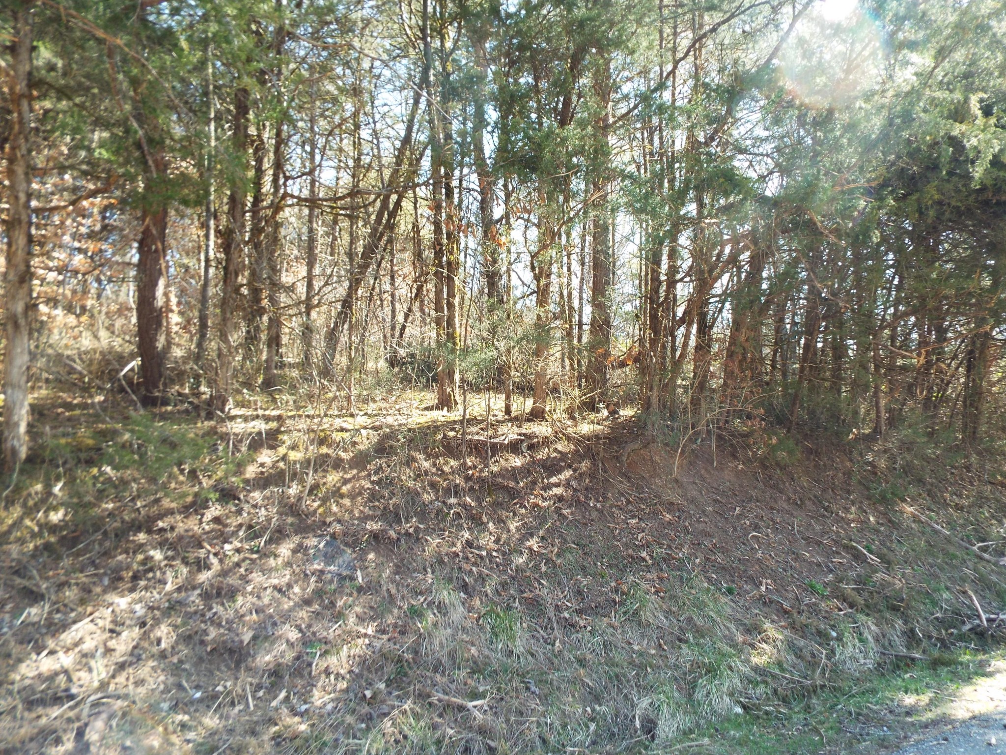0 Clearwood Road Newport, TN 37821 - Photo 2 of 11 Gallery Image 2