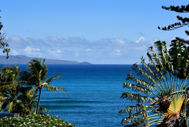 5045 Lower Honoapiilani Road, Unit HOUSE #5 Lahaina, HI 96761 - Photo 2 of 30 a view of a plants with sky in background