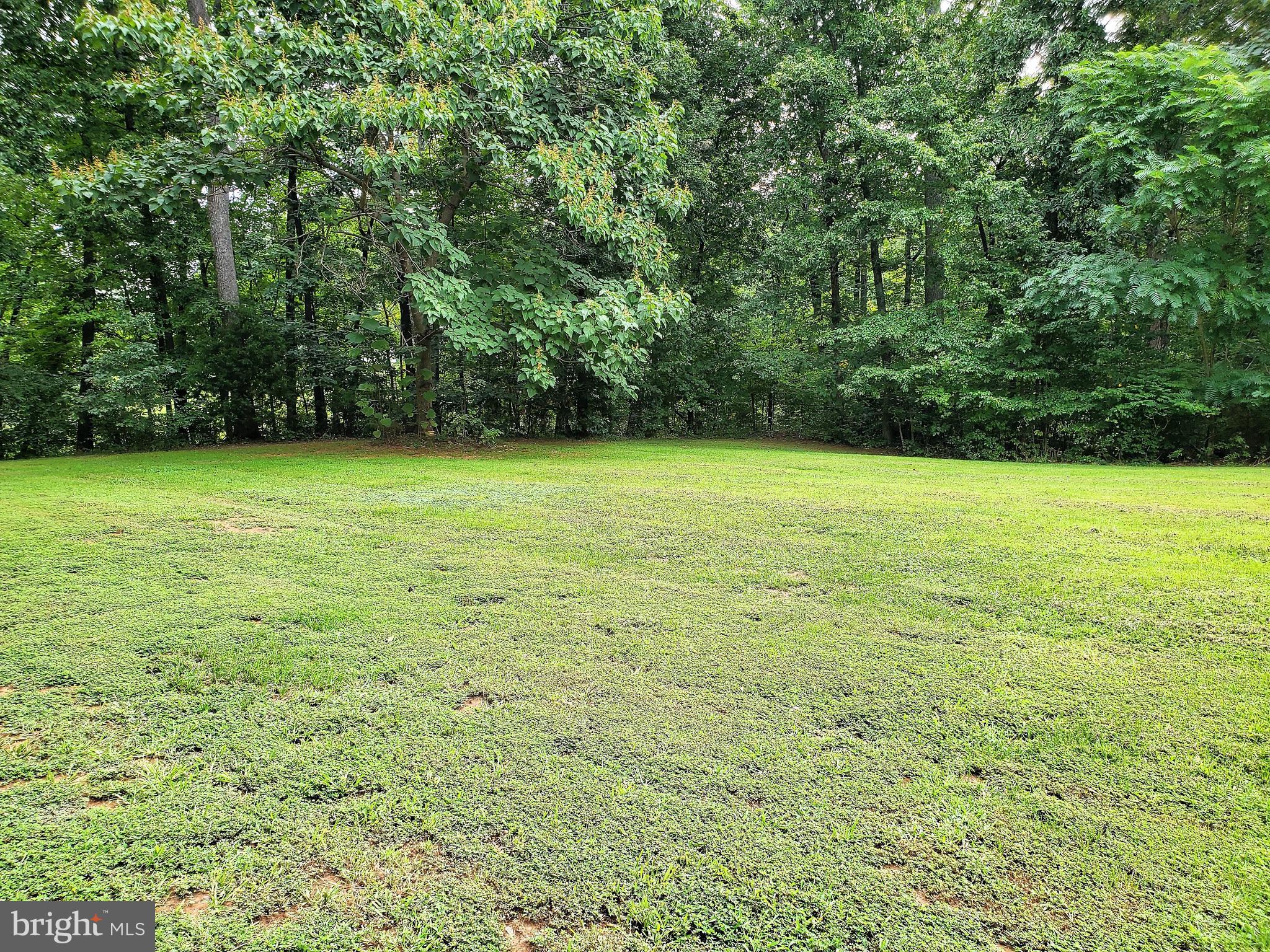 19275 Frazier Road Culpeper, VA 22701 - Photo 69 of 97 Gallery Image 69