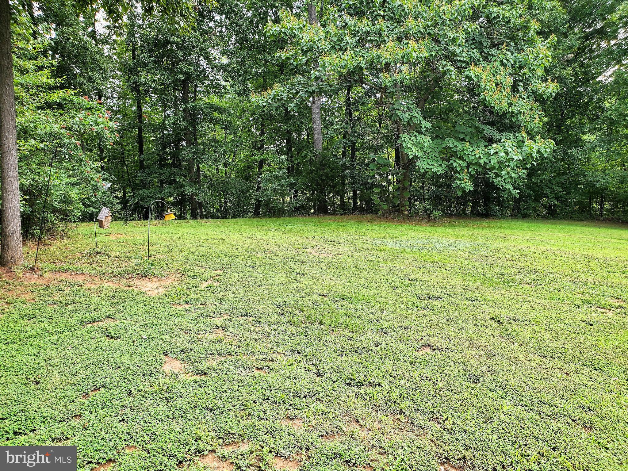 19275 Frazier Road Culpeper, VA 22701 - Photo 70 of 97 Gallery Image 70