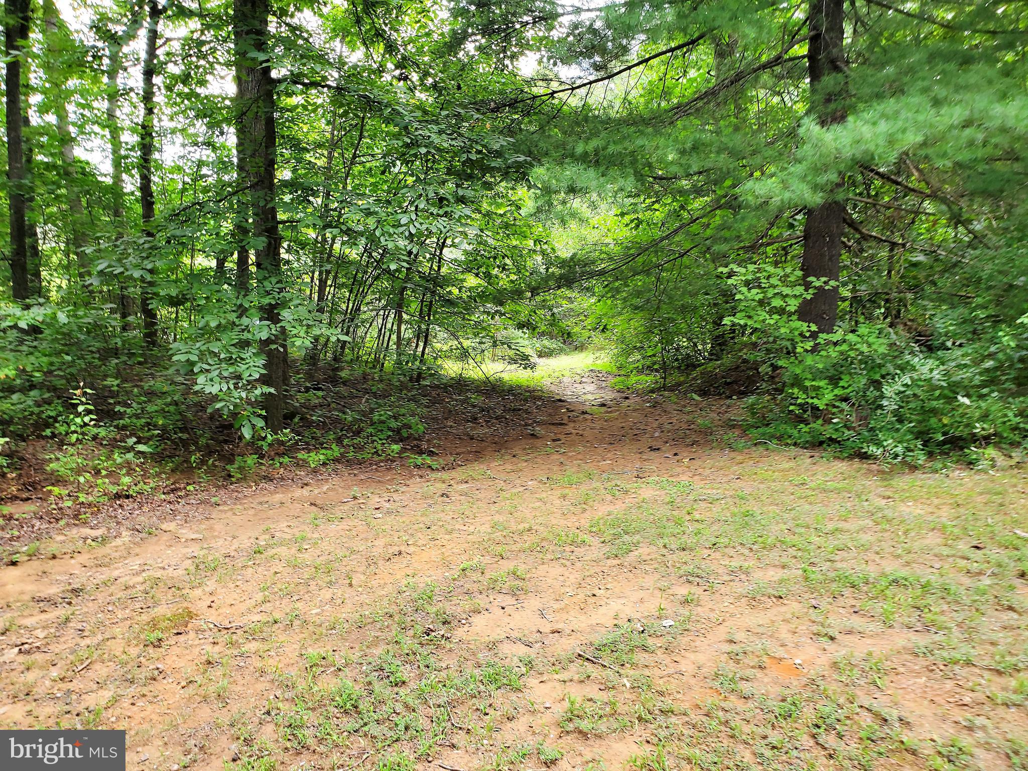 19275 Frazier Road Culpeper, VA 22701 - Photo 73 of 97 Gallery Image 73