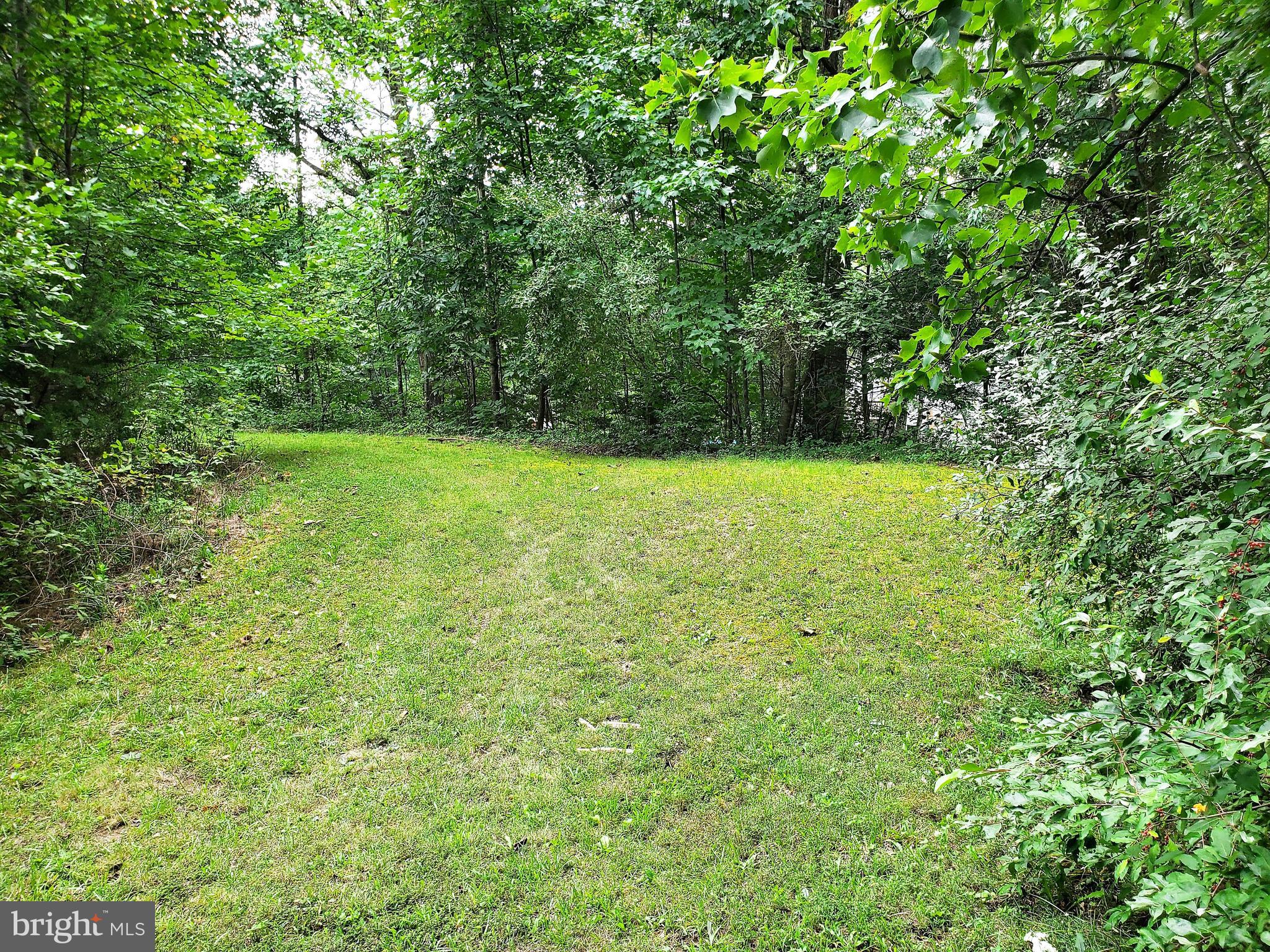 19275 Frazier Road Culpeper, VA 22701 - Photo 74 of 97 Gallery Image 74