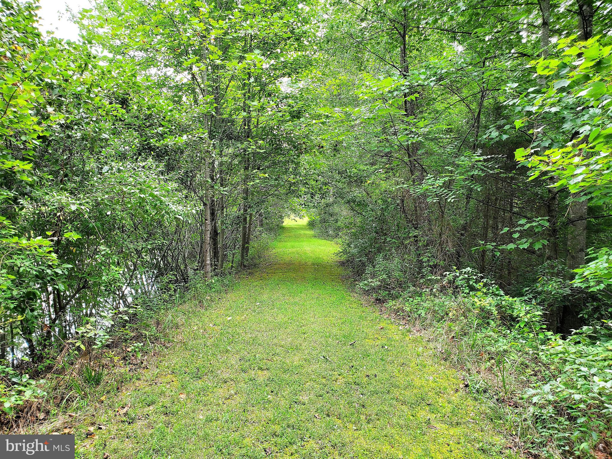 19275 Frazier Road Culpeper, VA 22701 - Photo 75 of 97 Gallery Image 75