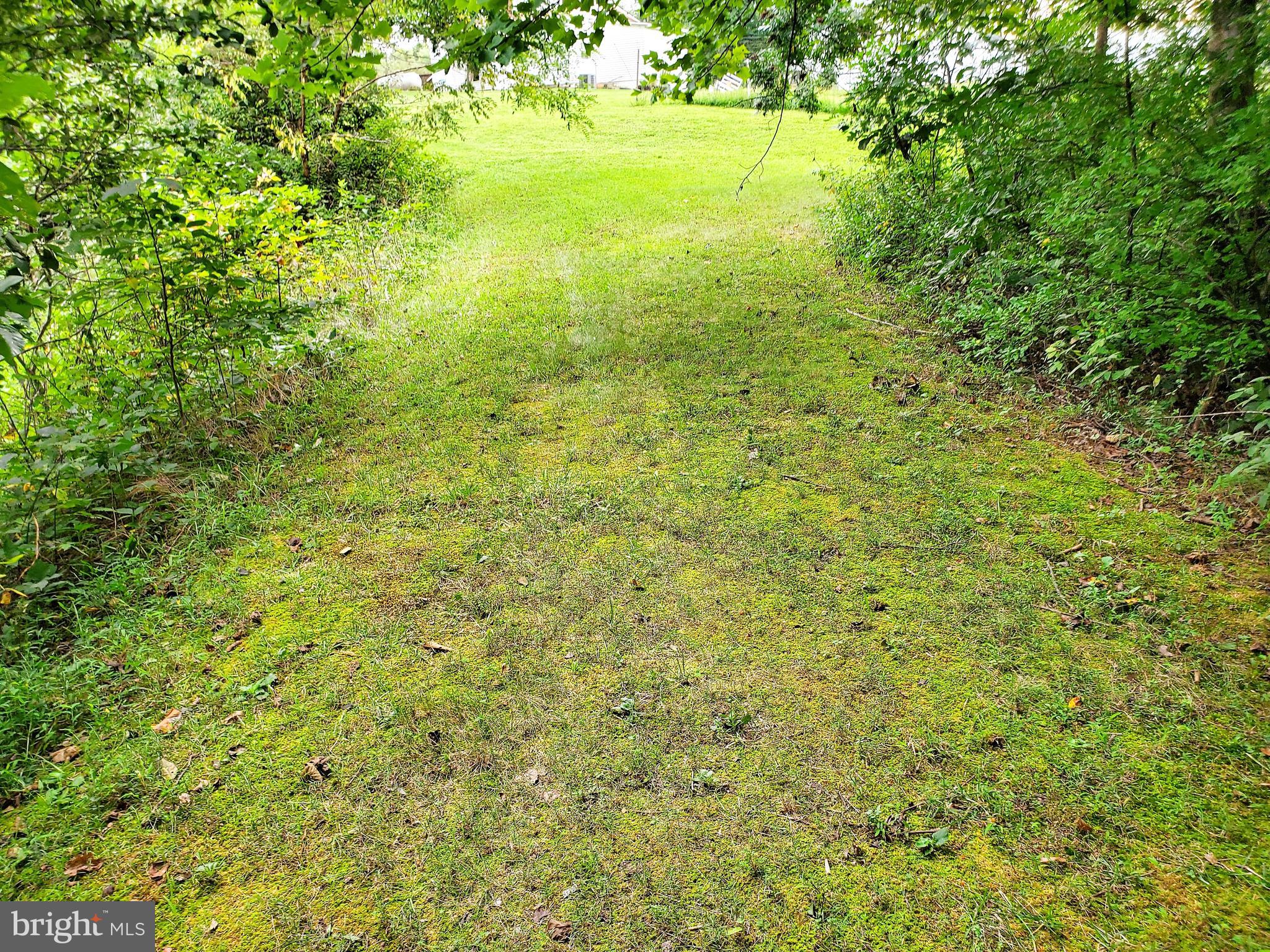 19275 Frazier Road Culpeper, VA 22701 - Photo 77 of 97 Gallery Image 77
