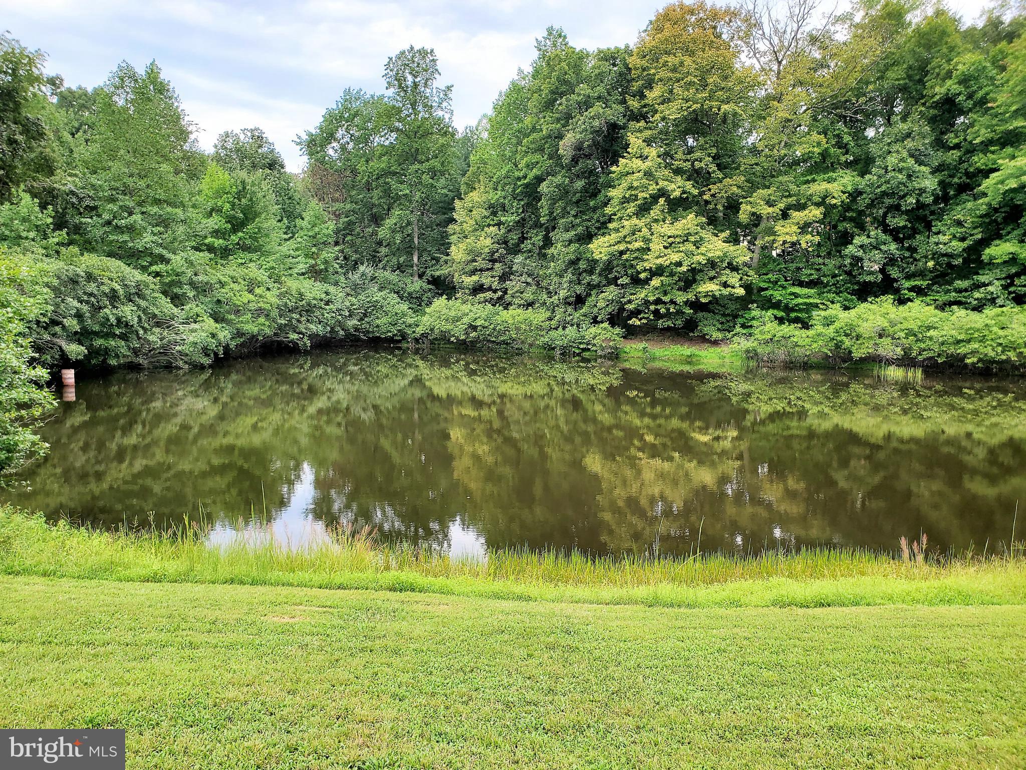 19275 Frazier Road Culpeper, VA 22701 - Photo 81 of 97 Gallery Image 81