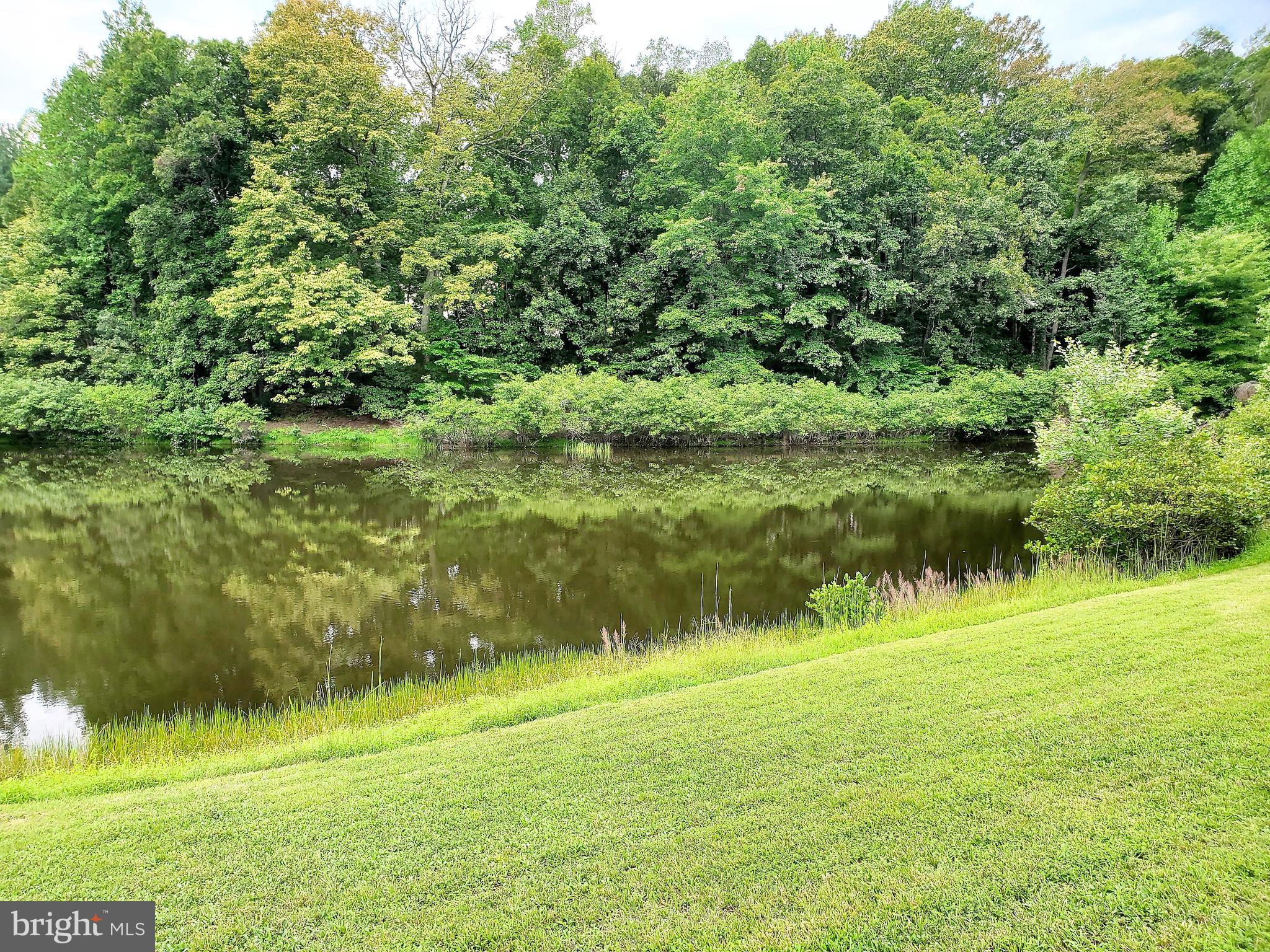 19275 Frazier Road Culpeper, VA 22701 - Photo 82 of 97 Gallery Image 82