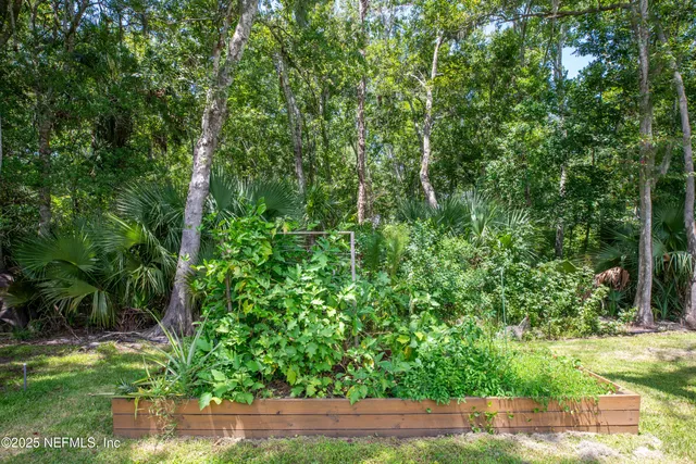a view of a yard with plants and large trees