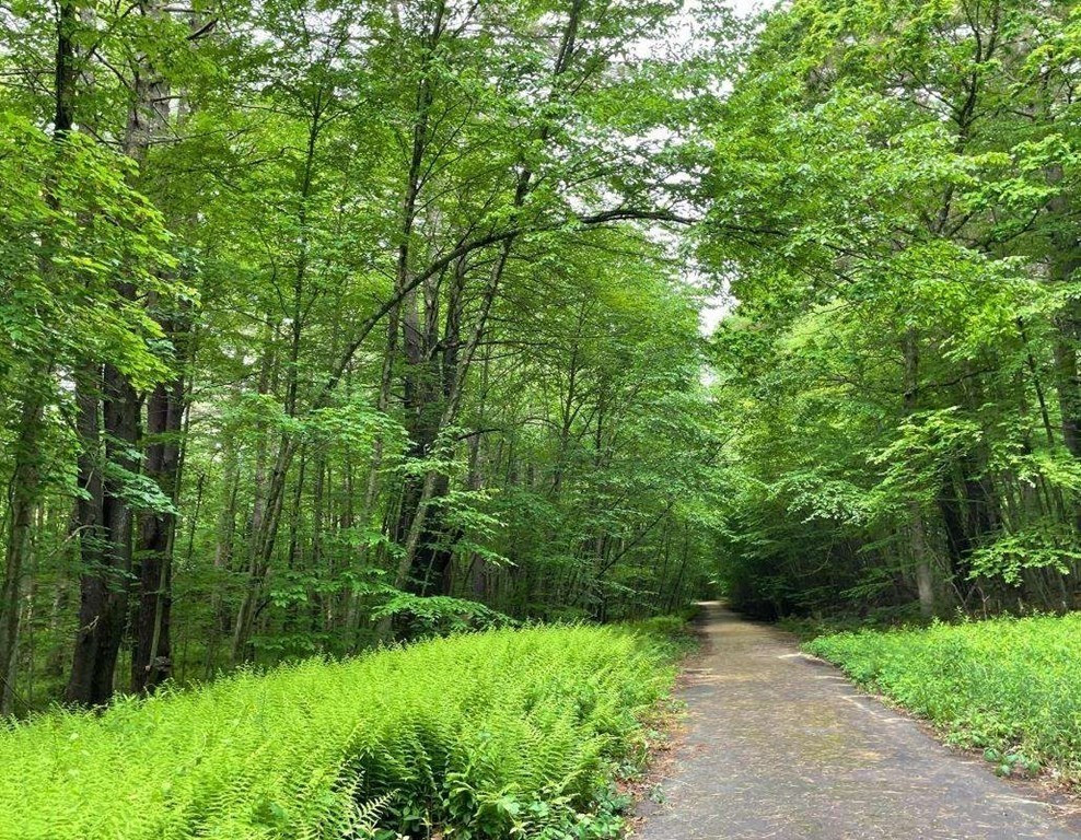 10 Triangle Farm Lane Acton, MA 01720 - Photo 3 of 3 a view of a garden