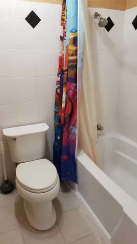 a white toilet sitting next to a bath tub