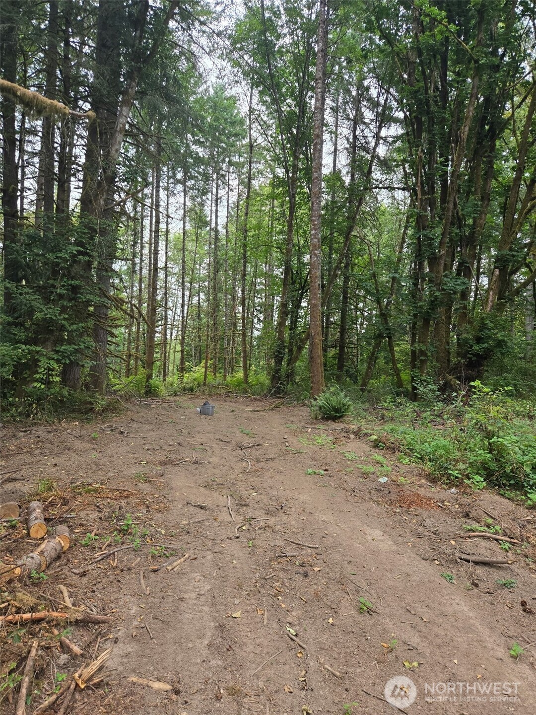 1725 Winlock-Vader Road Winlock, WA 98596 - Photo 1 of 8 a view of outdoor space and trees