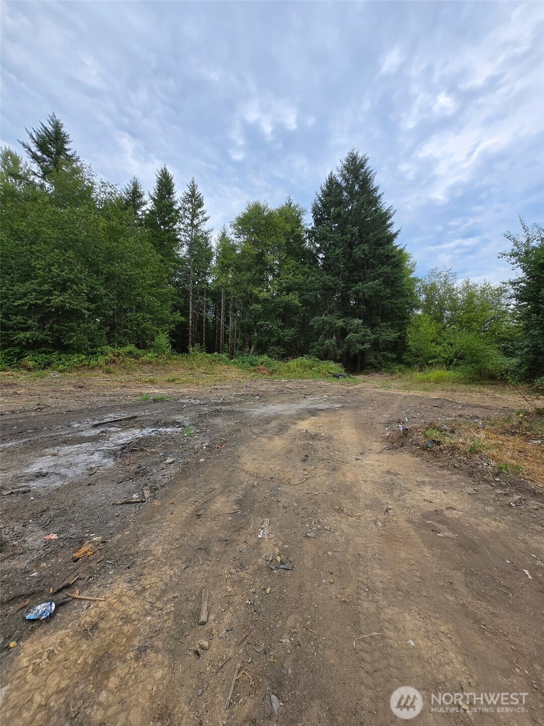 1725 Winlock-Vader Road Winlock, WA 98596 - Photo 2 of 8 a view of a field with trees in the background