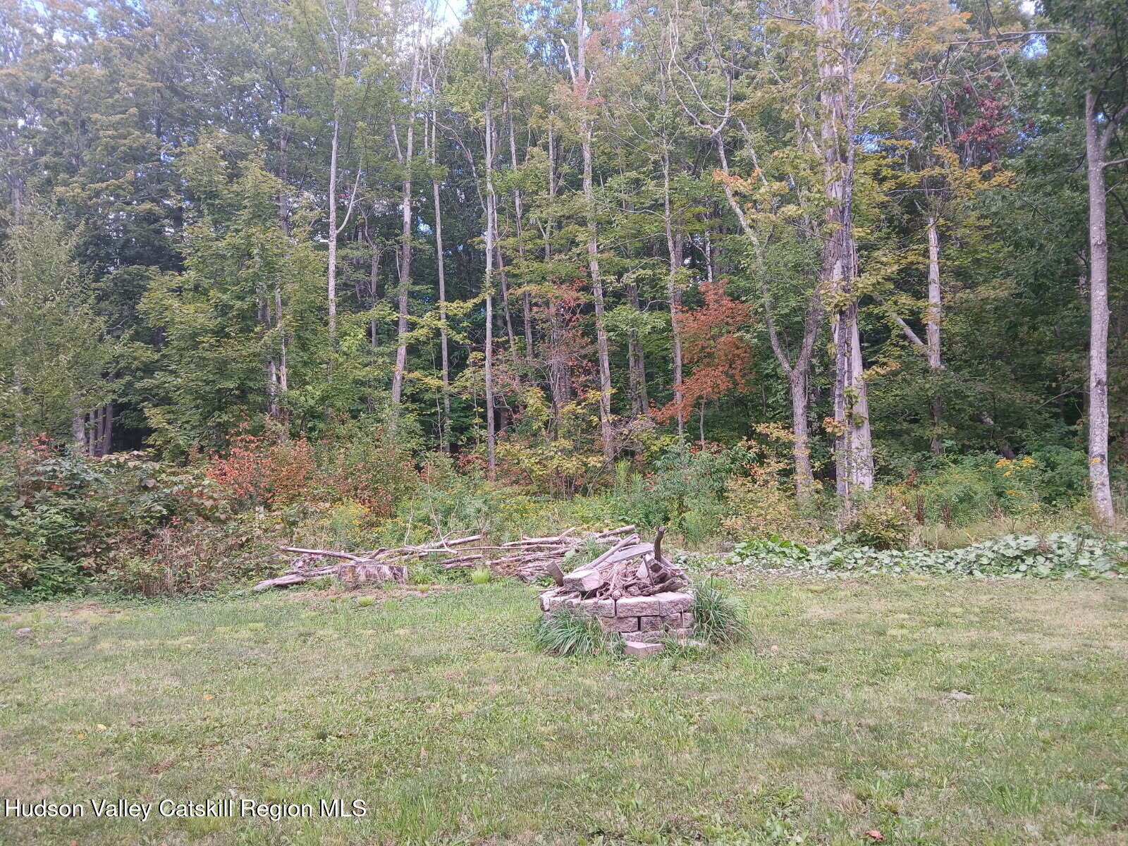 311 North Lake Road Haines Falls, NY 12436 - Photo 22 of 34 image000000
