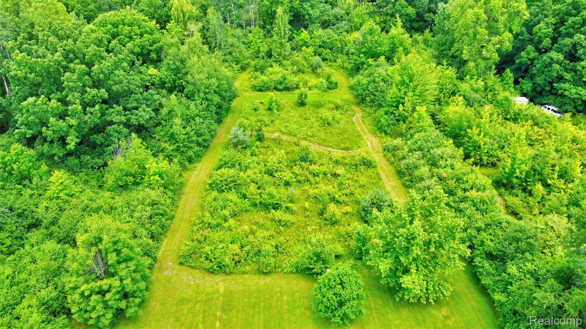 5244 Oleksyn Road Flint, MI 48504 - Photo 39 of 70 Cleared land parcel surrounded by mature trees