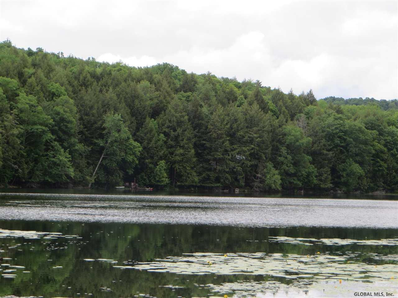 2219 County Rte 47 Hebron, NY 12865 - Photo 3 of 29 Photo 3