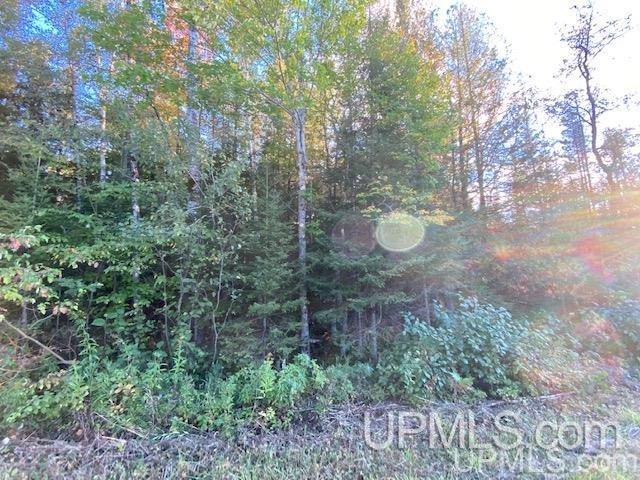 Tbd Chapman Road Niagara, WI 54151 - Photo 1 of 8