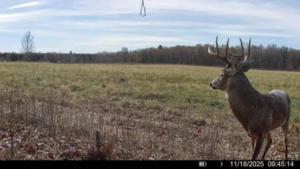 $337,000 | Tbd County Road D, Glenwood City, WI 54013