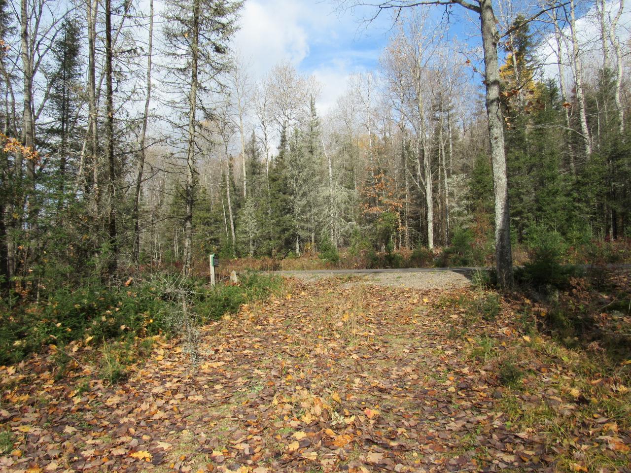 On Sheltrow Road, Unit LOT 4 Crystal Falls, MI 49920 - Photo 13 of 16 Gallery Image 13