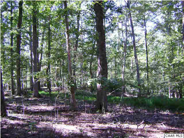 Brookwood Road Crozet, VA 22932 - Photo 3 of 9 a view of outdoor space and tree