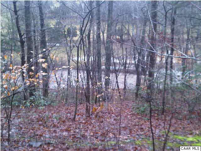 Brookwood Road Crozet, VA 22932 - Photo 4 of 9 a view of a forest