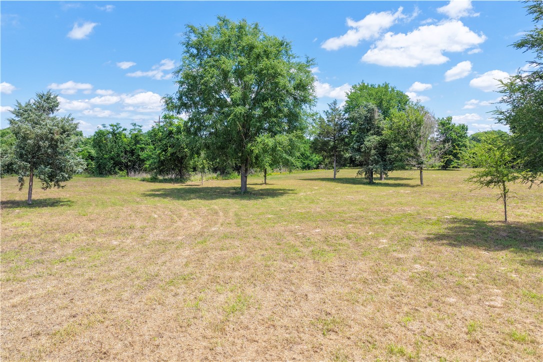 167 Signal Street Somerville, TX 77879 - Photo 3 of 6