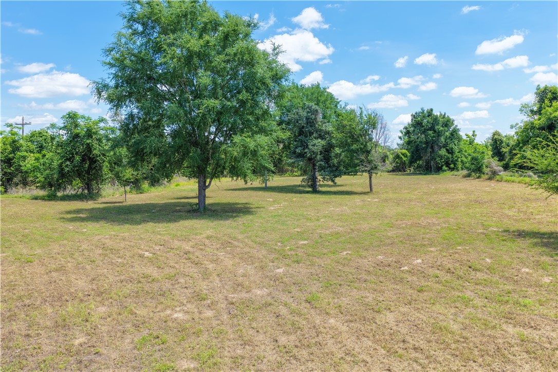 167 Signal Street Somerville, TX 77879 - Photo 4 of 6