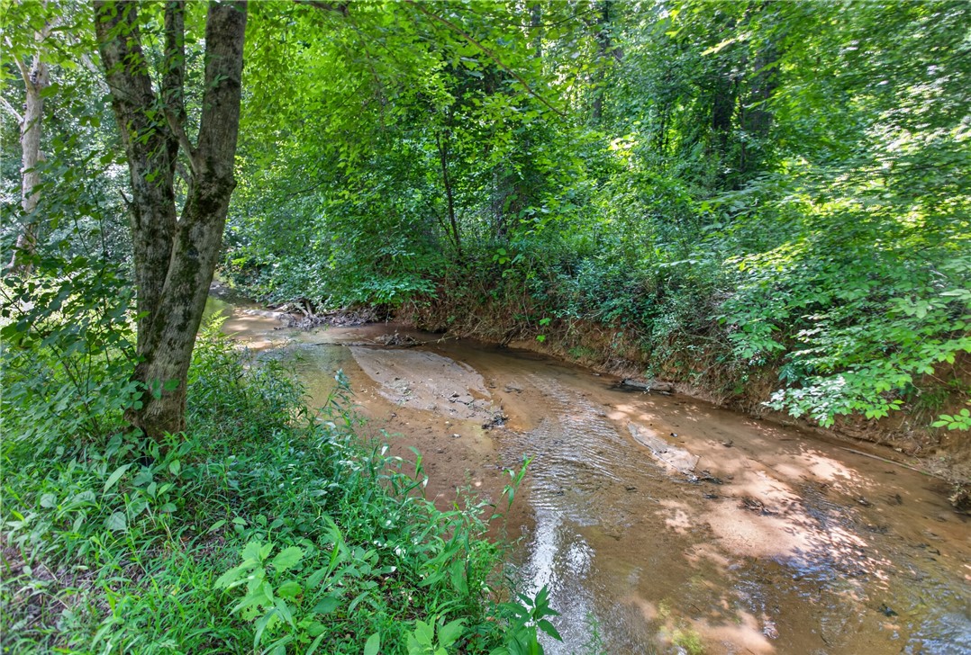 14029 Azalea Drive Seneca, SC 29678 - Photo 39 of 50