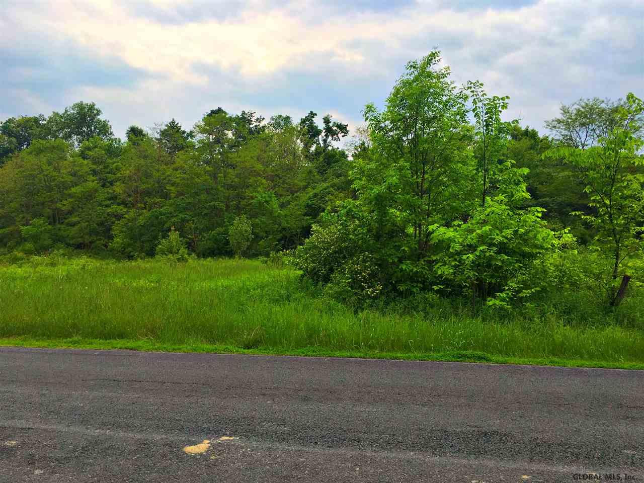 0 Hall Road Fort Ann, NY 12827 - Photo 1 of 3 Photo 1