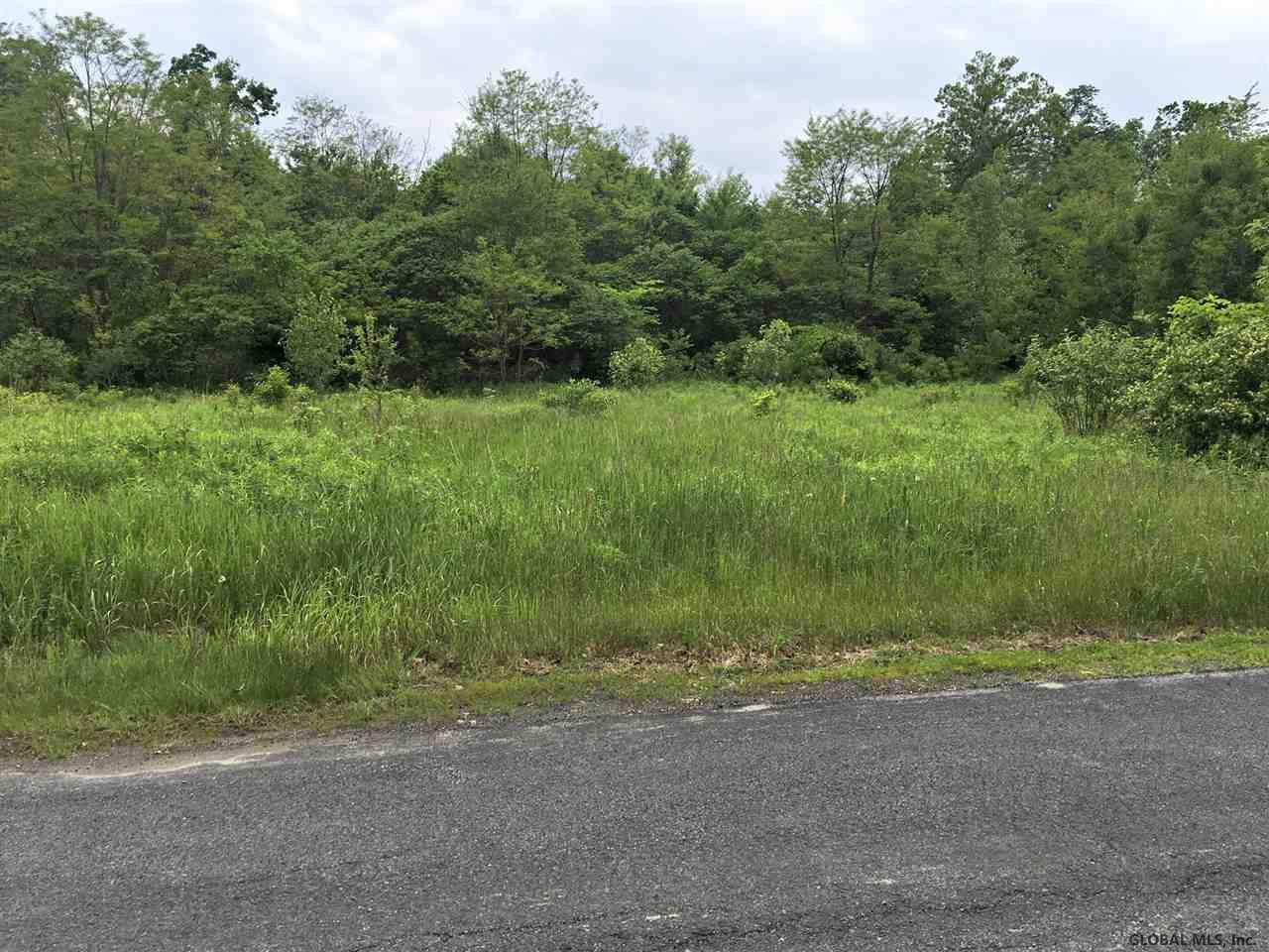 0 Hall Road Fort Ann, NY 12827 - Photo 2 of 3 Photo 2