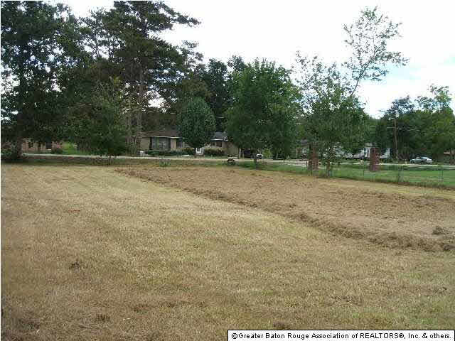 16127 Aikens Road Prairieville, LA 70769 - Photo 2 of 5 Gallery Image 2