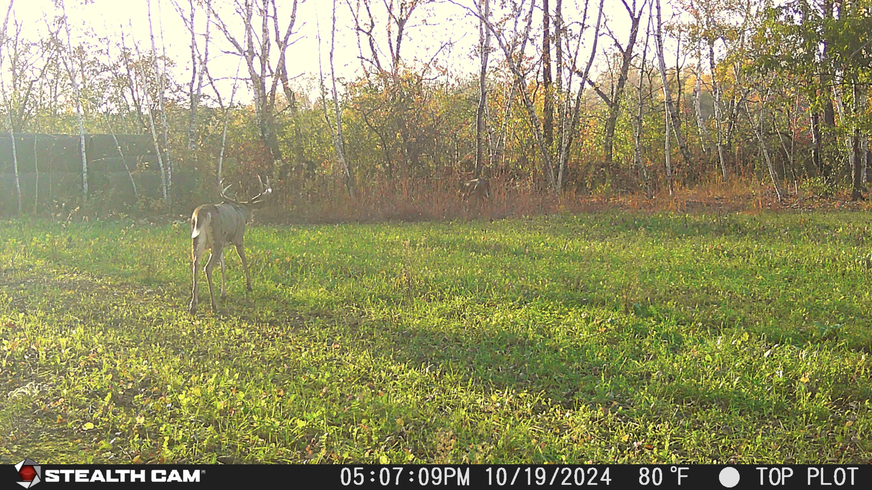 0 County Road G Arcadia, WI 54612 - Photo 1 of 1 20-STC_0618