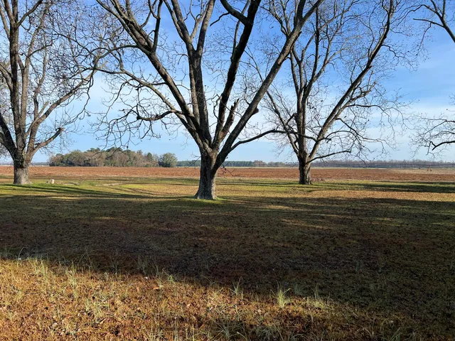 $120,000 | 0 Old Highway, Elloree, SC 29047