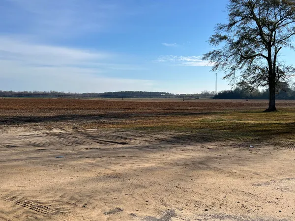 $120,000 | 0 Old Highway, Elloree, SC 29047