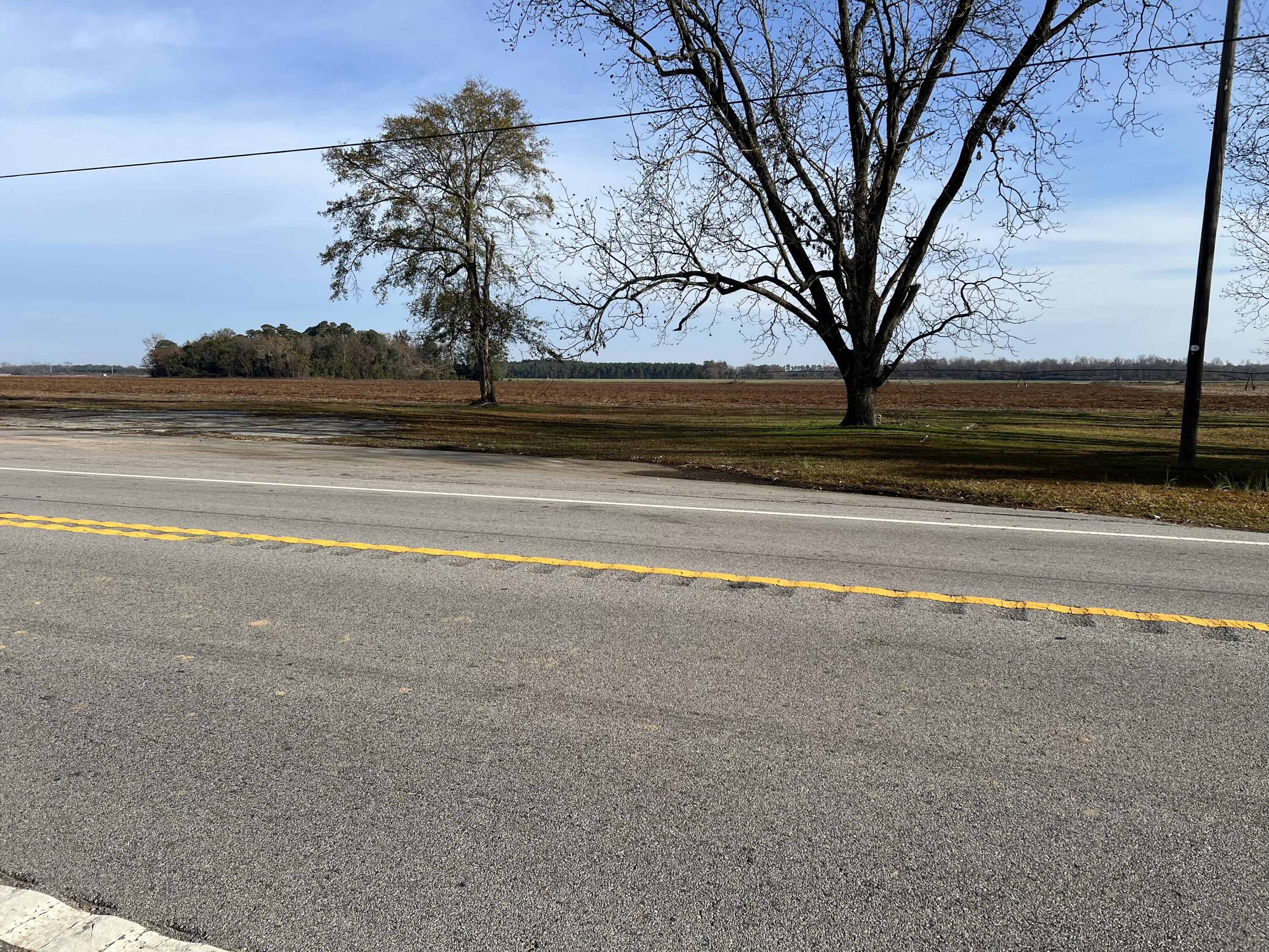 0 Old Highway Elloree, SC 29047 - Photo 5 of 7 2C63C8FC-1C84-470F-8C9F-FA9D8028386E
