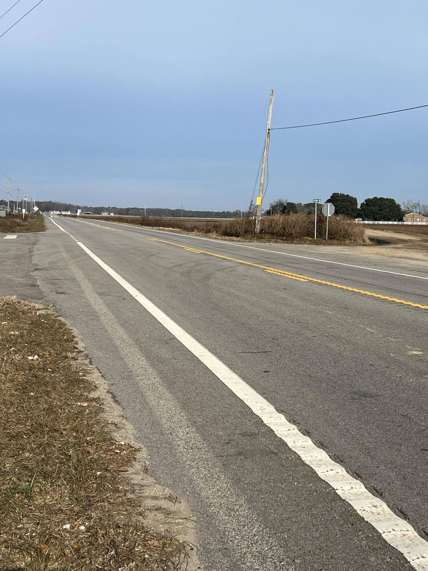 0 Old Highway Elloree, SC 29047 - Photo 6 of 7 83E78183-ED29-4BBC-85D7-F5A4AFD7BACB