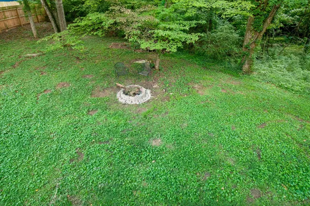 a view of a house with a yard potted plants and a large tree