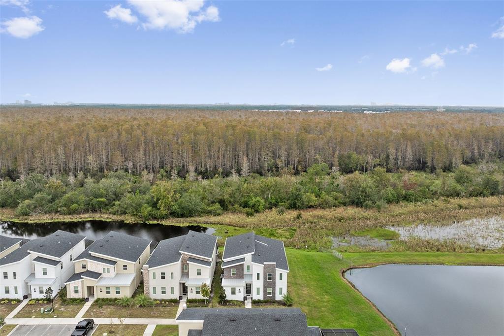 3000 Penelope Loop Kissimmee, FL 34746 - Photo 50 of 53 an aerial view of multiple house