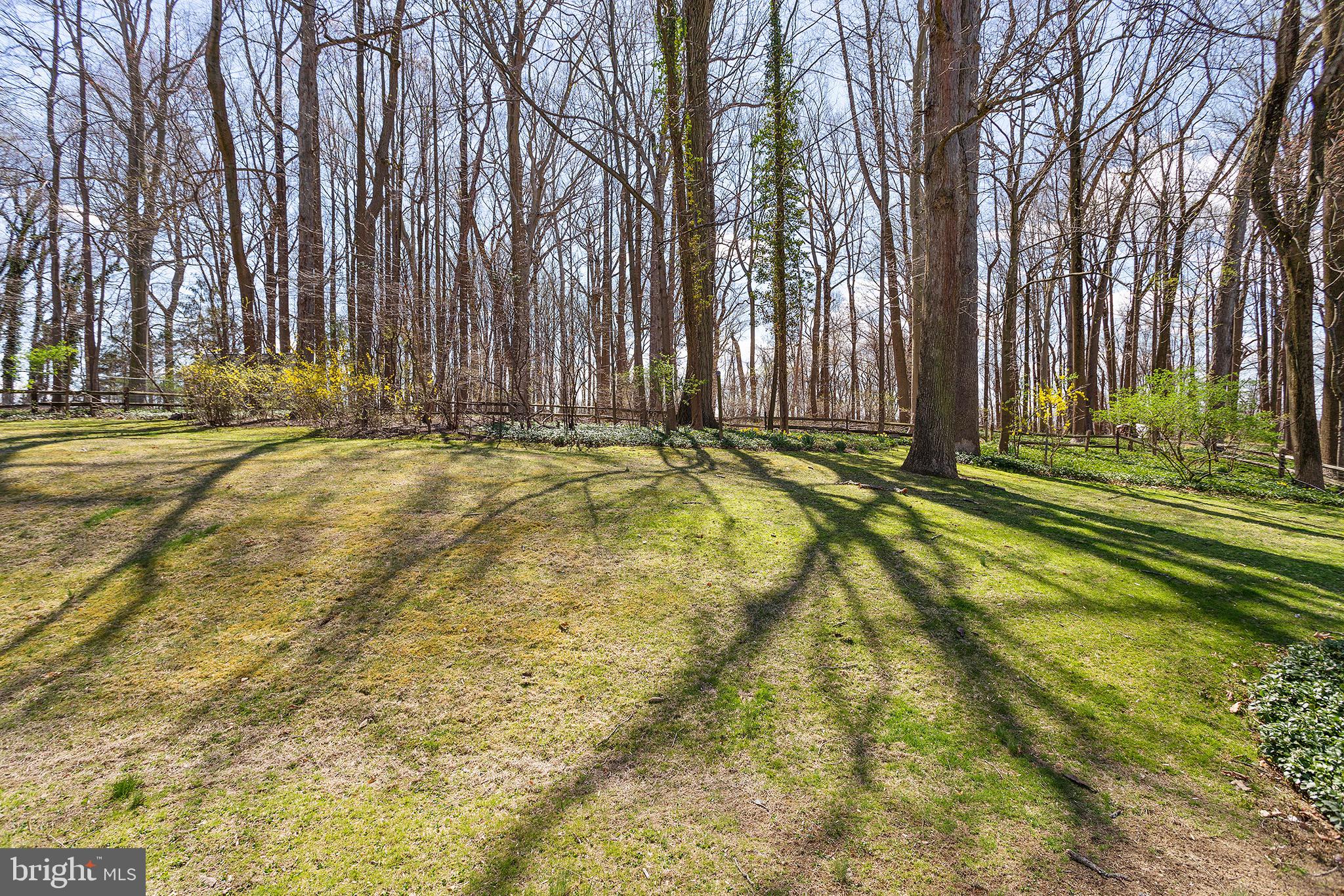 209 Marple Road Haverford, PA 19041 - Photo 28 of 30 Gallery Image 28