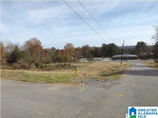 0 Highway 75, Unit 7 Oneonta, AL 35121 - Photo 2 of 9