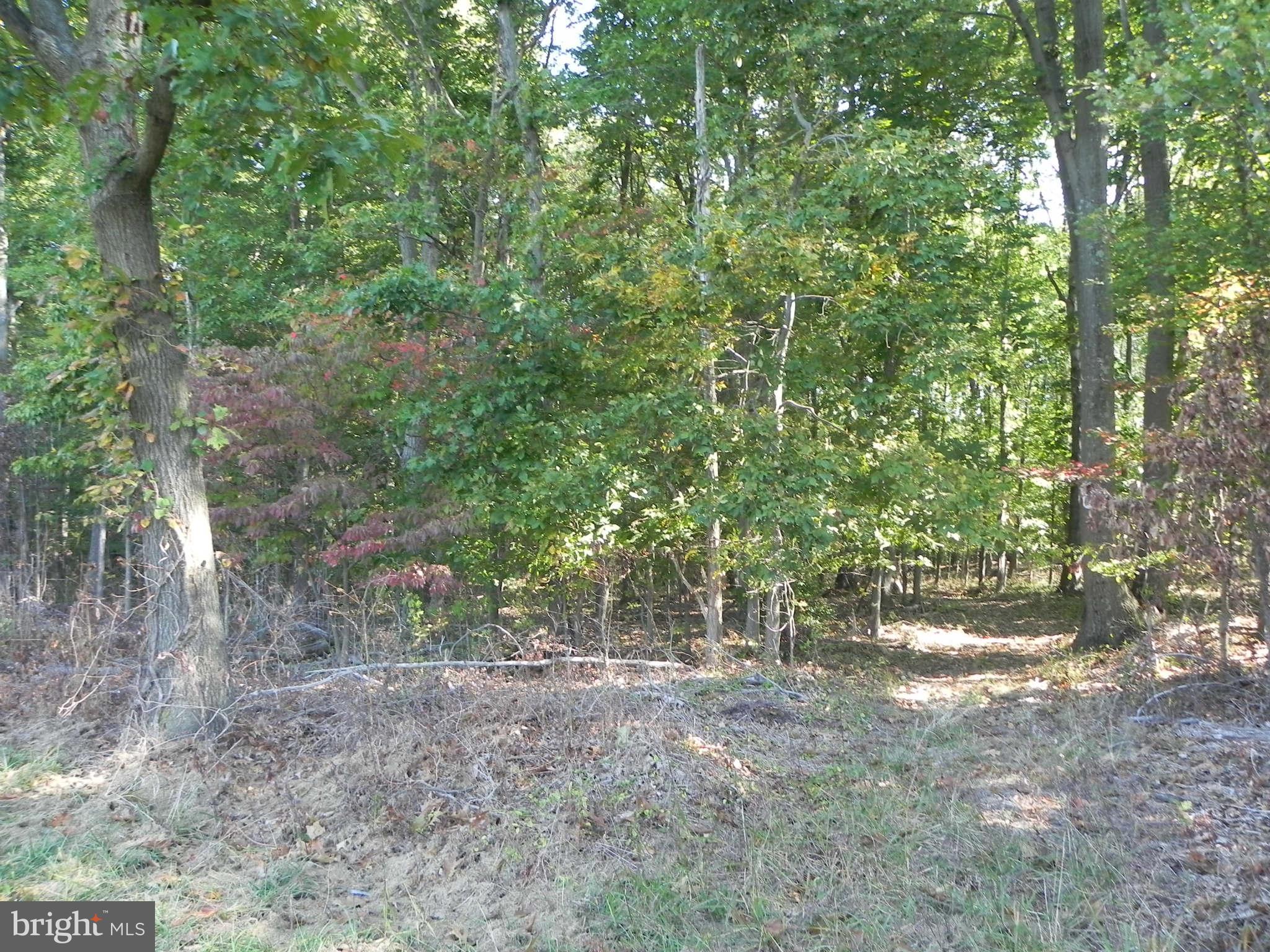 21707 Slidell Road Boyds, MD 20841 - Photo 2 of 3 Exterior (General)