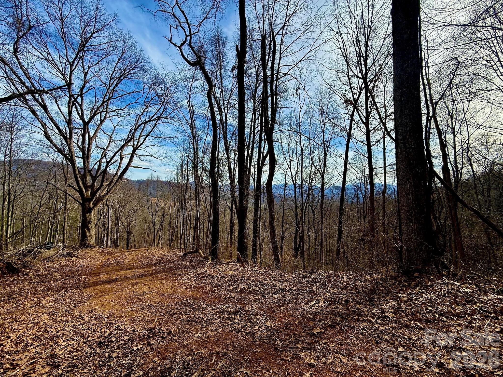 672 Porters Ridge Canton, NC 28716 - Photo 2 of 18