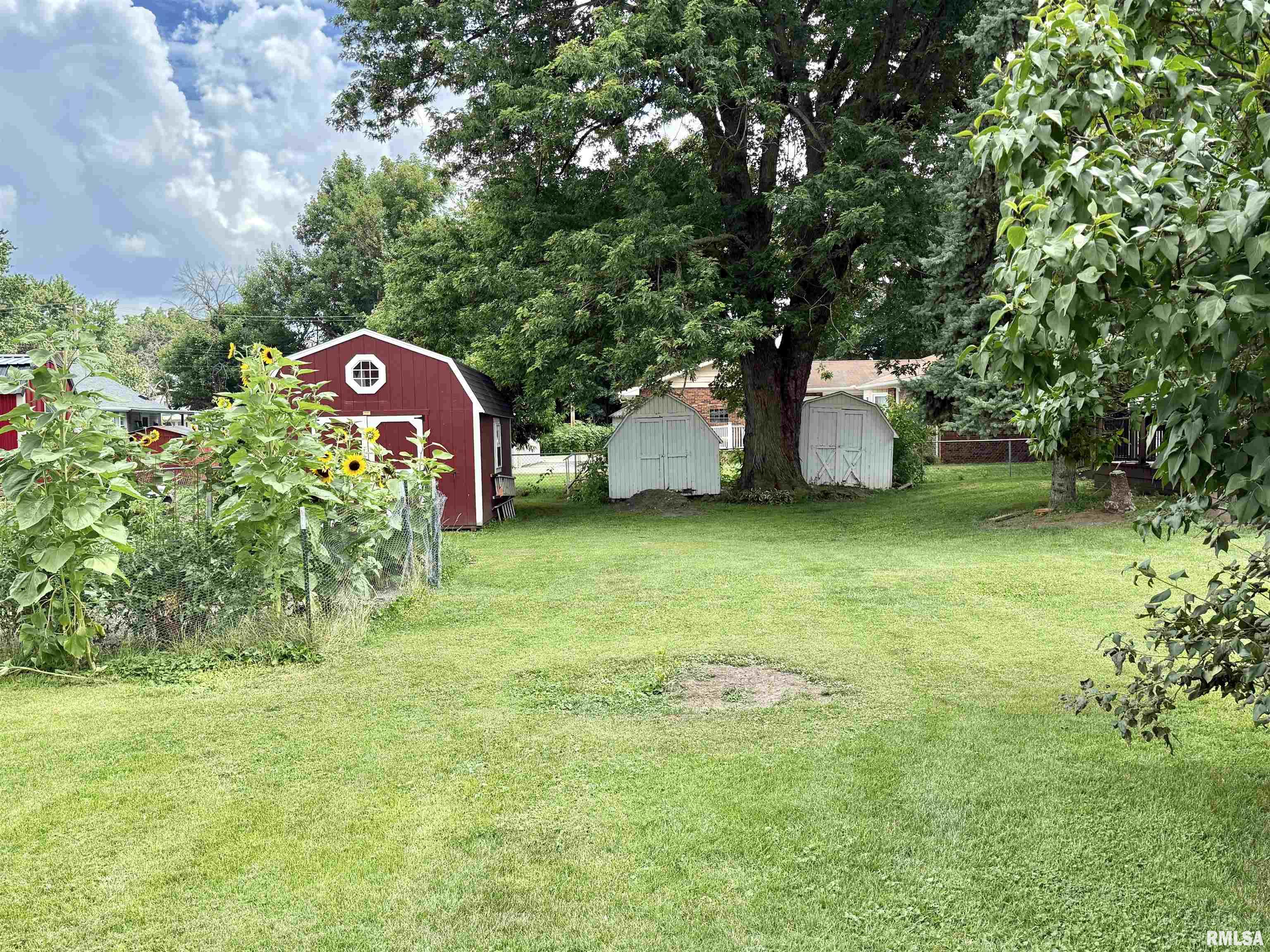 208 South 2nd Street Cuba, IL 61427 - Photo 5 of 29