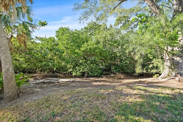 a backyard of a house with lots of green space