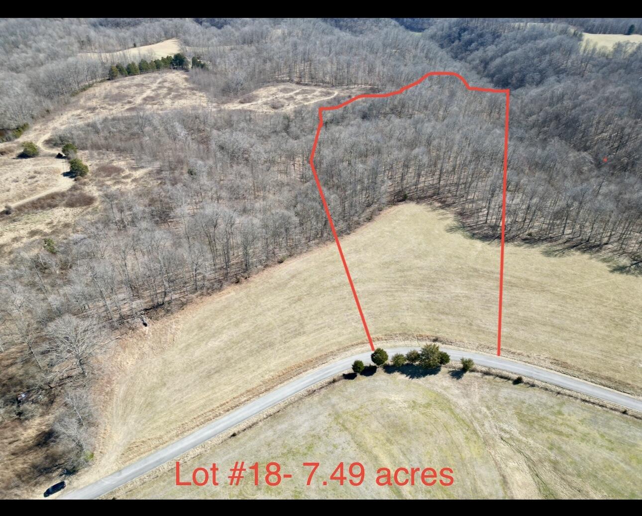 Lot 18 Parks Ridge Road Russell Springs, KY 42642 - Photo 2 of 20 IMG_1858